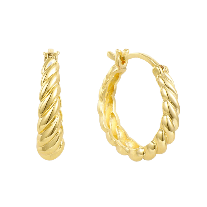 Twisted Earrings